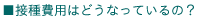 �ڎ��p